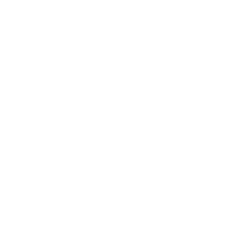 Graphic Design & Video Editing